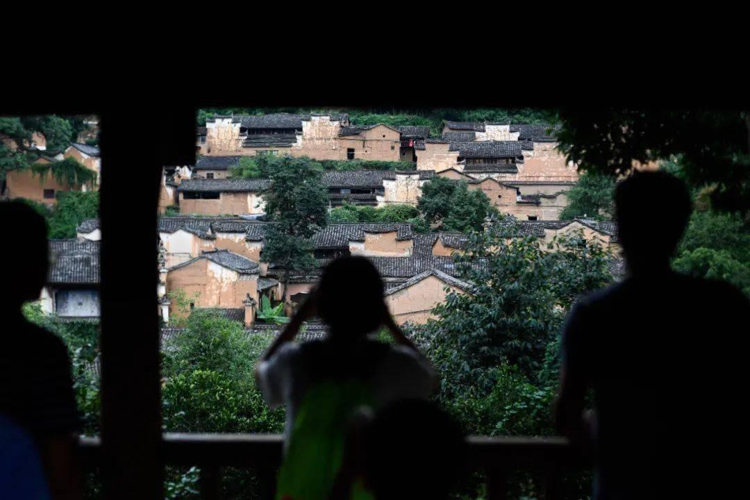 当地的西红柿不一般，精品果能卖到15元1斤，为当地农户带来财富