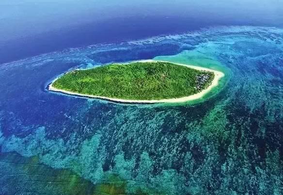 沉默的真相朱伟怎么变成流浪汉