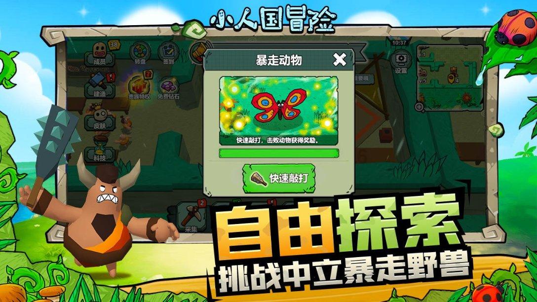 满屏飘香~冬日的儋州，年味渐浓！