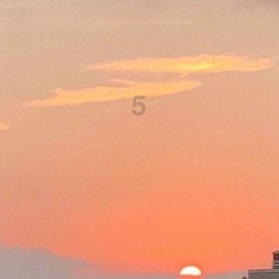 杭州奥体中心体育场运行团队副秘书长：基本没有完整看过一场亚运比赛