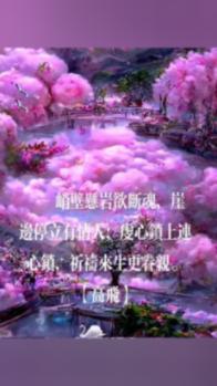 细胞分裂5
